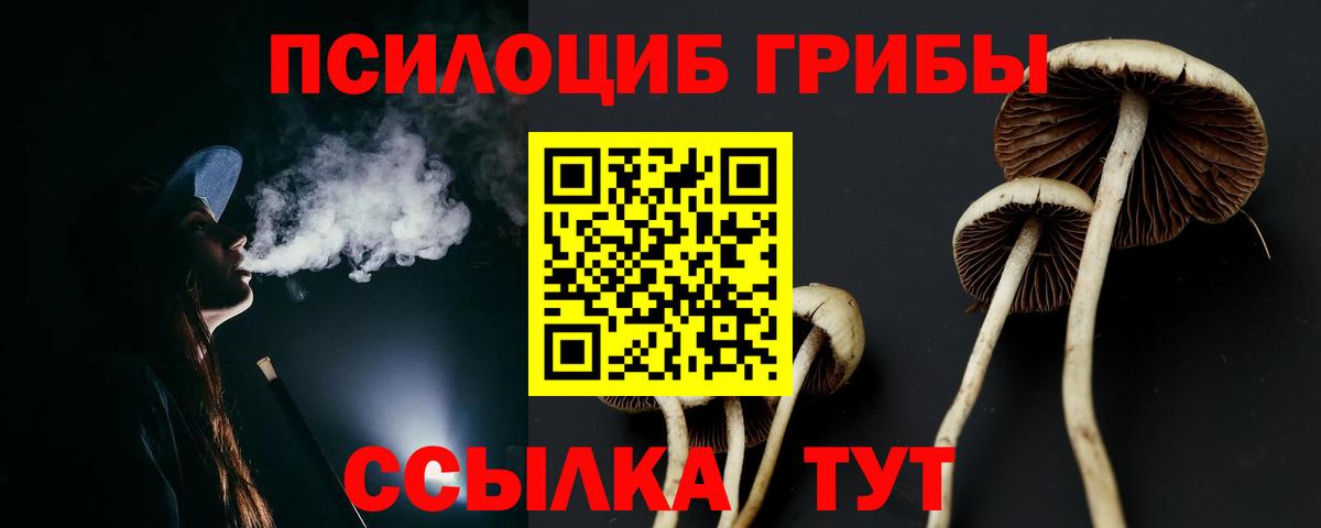 Верхняя Пышма  купить наркоту  Псилоцибиновые грибы мицелий  Вход с VPN  Псилоцибиновые грибы мухоморы 