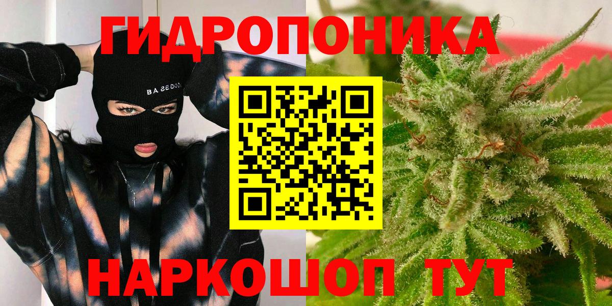 Каннабис сатива Верхняя Пышма